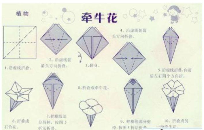 牽牛花折紙教程